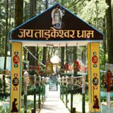 rishikesh local travel agents