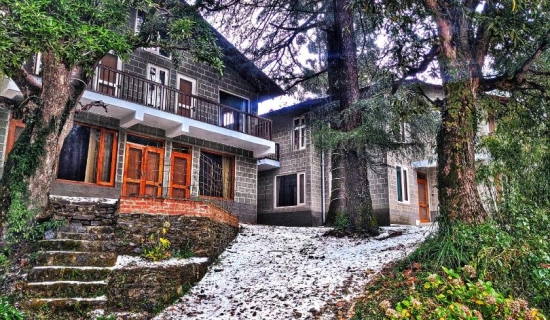 Nainital Holi Tour Packages
