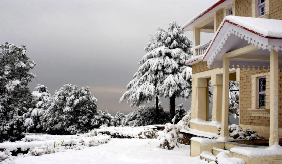 Binsar Christmas Tour Packages
