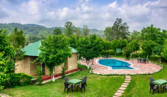 Corbett Holi Packages