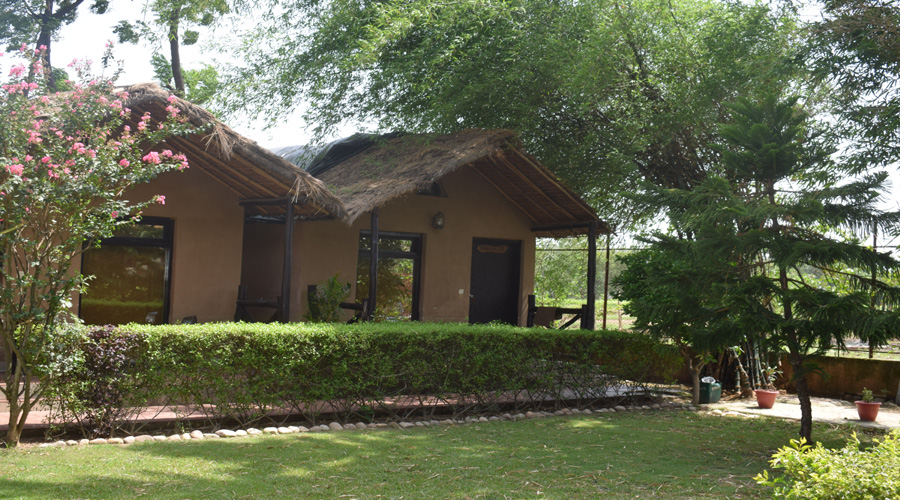 Corbett Budget Resort