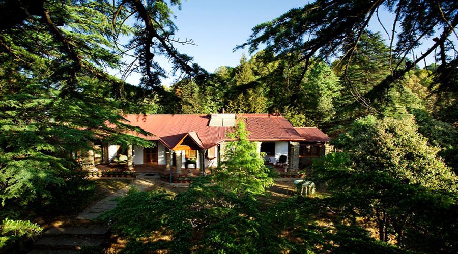 Hotels In Binsar