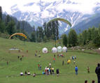 Wild-life Vacations Book Early and Save!