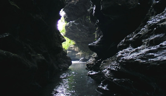Uttarakhand Tour Package from Mumbai 4 Days