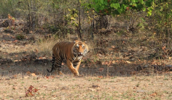 Uttarakhand Tour Package from Mumbai 7 Days
