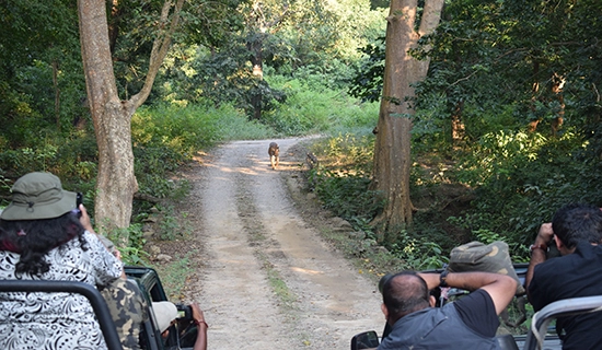 Uttarakhand Tour Package from Mumbai 10 Days