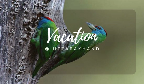 uttarakhand tour packages from dehradun