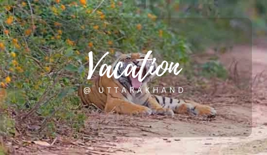 uttarakhand tour packages from dehradun
