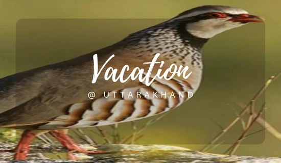 uttarakhand tour packages from dehradun