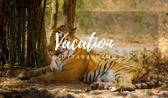 uttarakhand tour packages 9 days