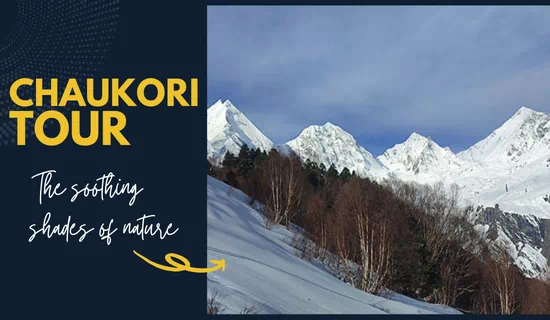 9 Days Ranikhet · Kausani · Munsiyari · Chaukori · Binsar · Nainital