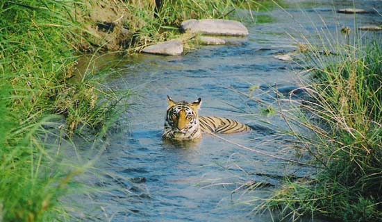 uttarakhand tour packages