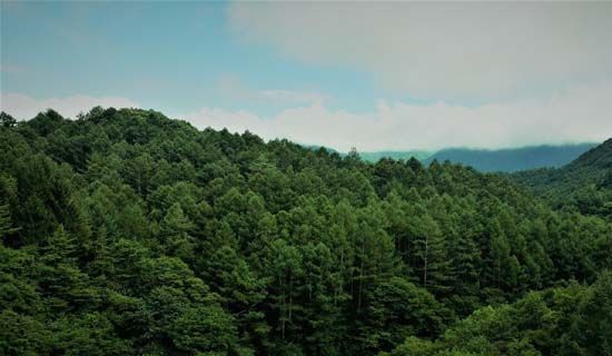 uttarakhand tour packages