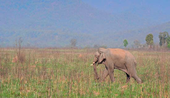 uttarakhand tour packages