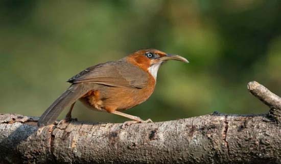 uttarakhand tour packages