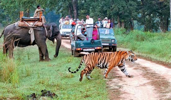 uttarakhand tour packages