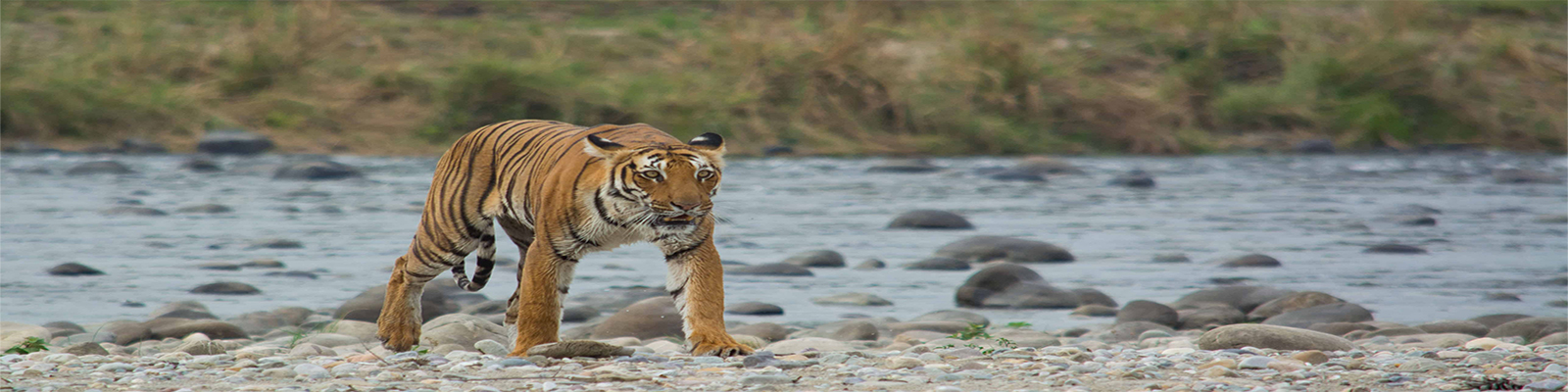 uttarakhand tour packages