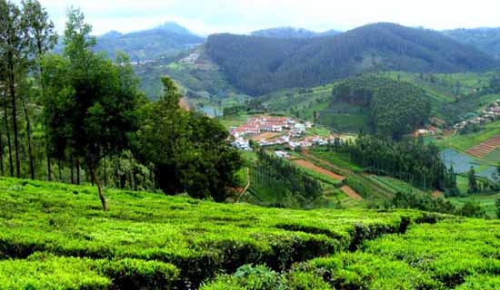 kausani christmas package