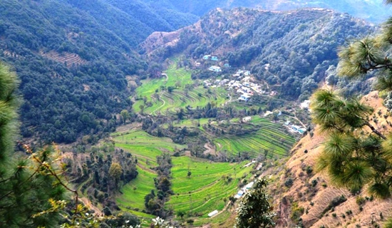 binsar tour packages