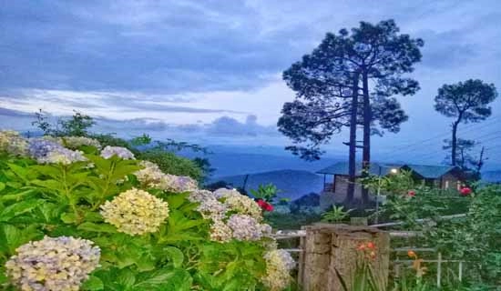 kausani christmas package