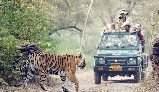 uttarakhand tour packages