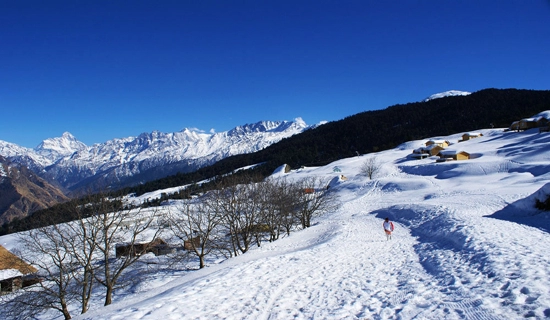 munsiyari tour packages