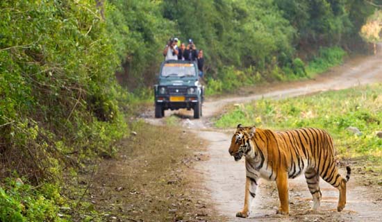 uttarakhand tour packages