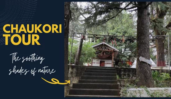 7 Days from Pantnagar — Nainital · Chaukori · Munsiyari · Kausani