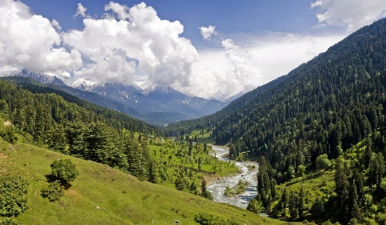 munsyari tour packages