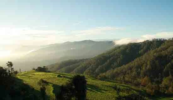 binsar tour packages
