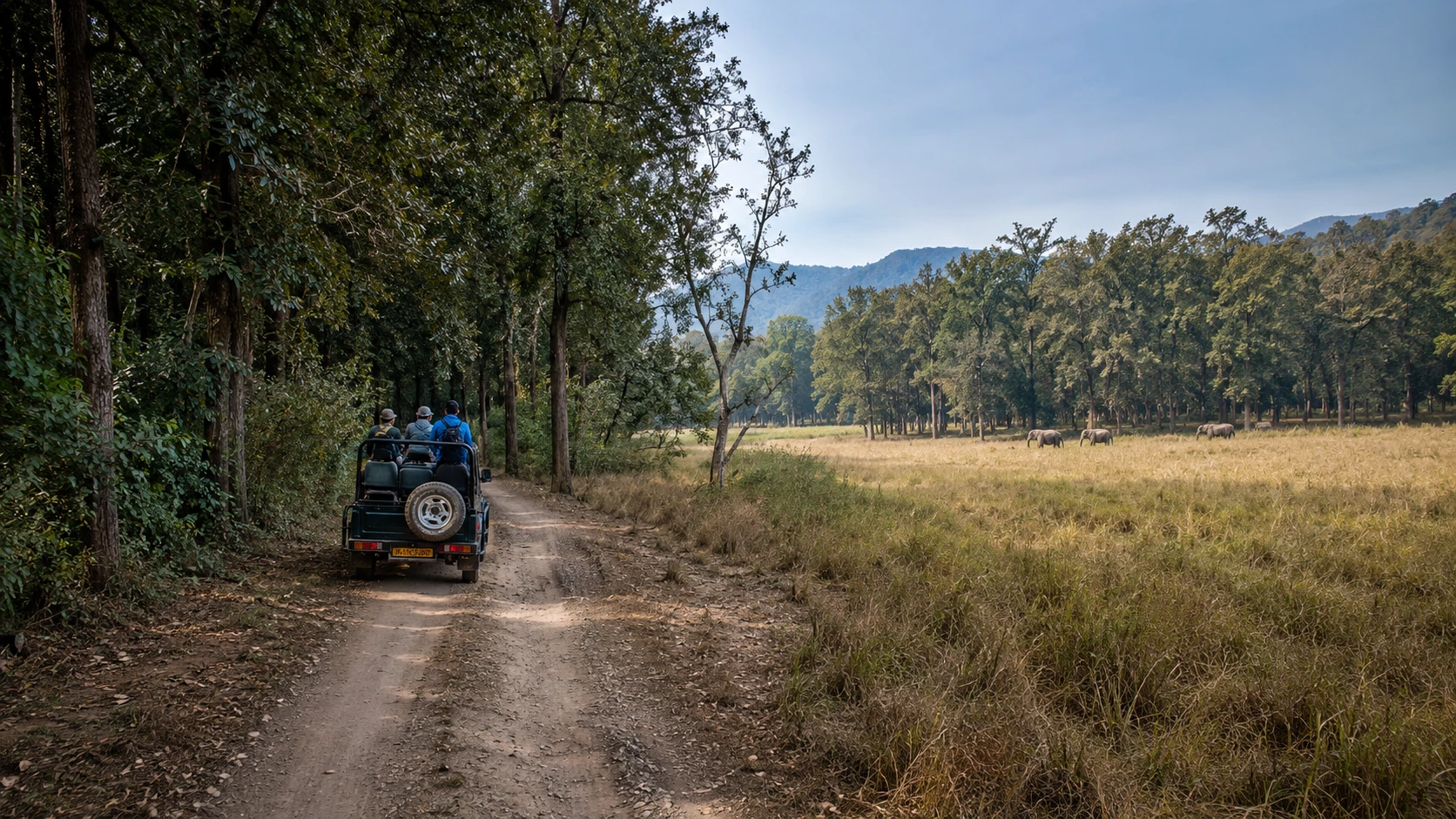 Dhela Zone Jim Corbett