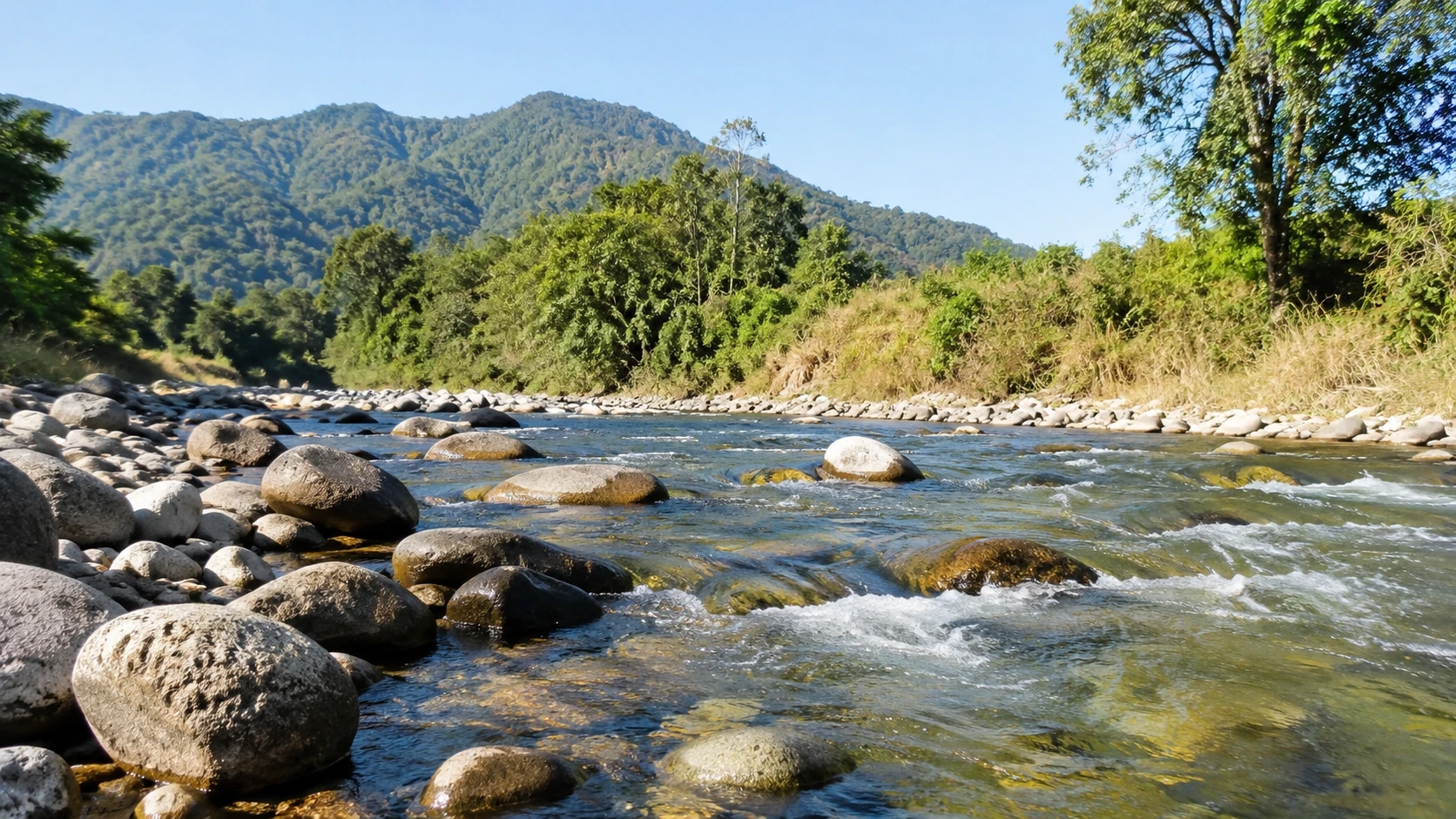 Kosi River Jim Corbett