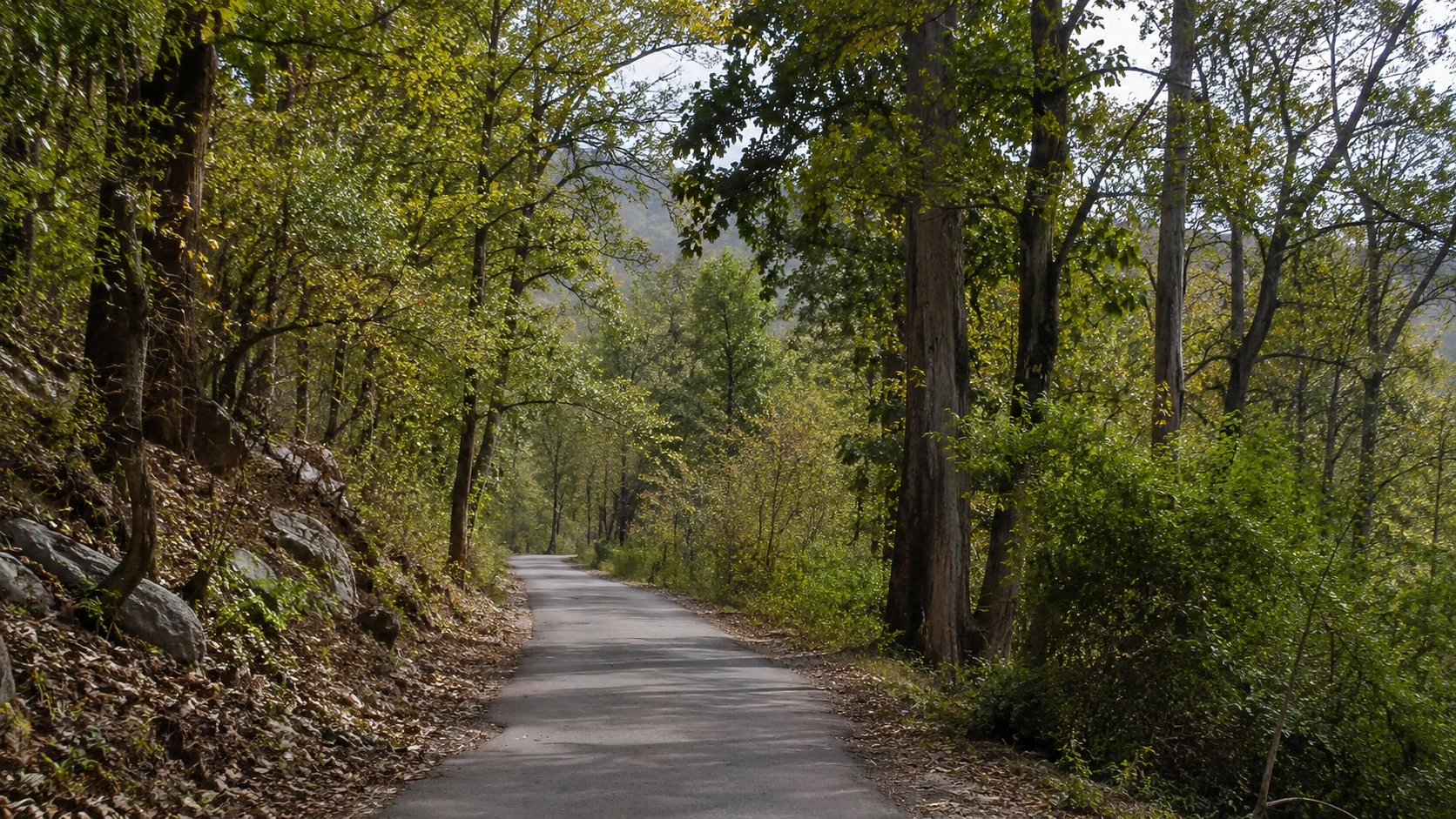 Sitabani Forest Corbett