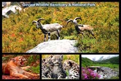 Govind Wildlife Sanctuary