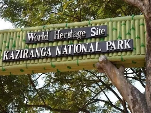 Kaziranga National Park