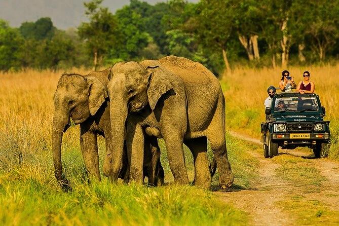Jhirna safari zone landscape in Jim Corbett