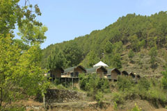 Camping